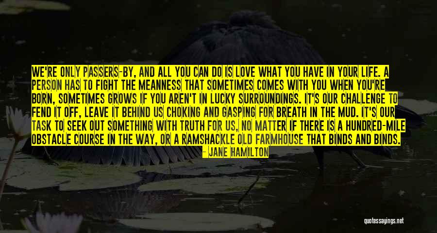 Mud Out Quotes By Jane Hamilton Mud Out Quotes By Jane Hamilton