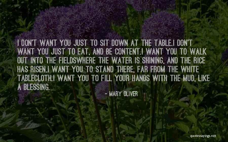 Mud Out Quotes By Mary Oliver Mud Out Quotes By Mary Oliver