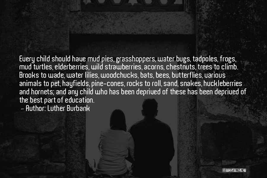 Mud Pies Quotes By Luther Burbank