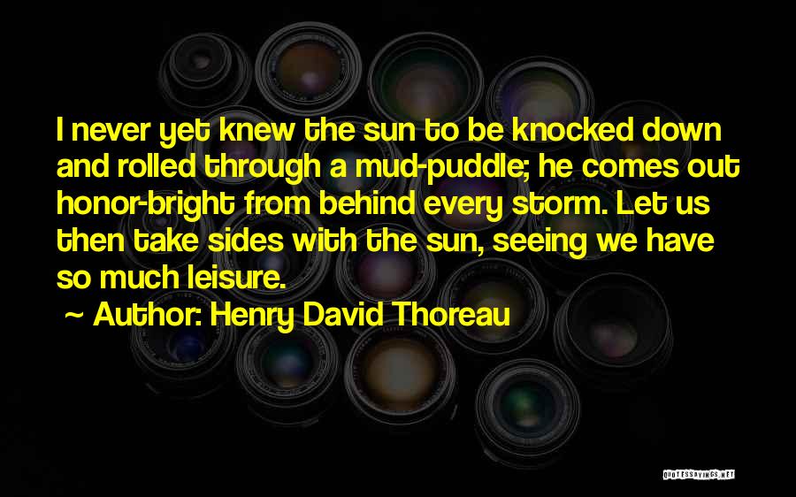 Mud Puddle Quotes By Henry David Thoreau