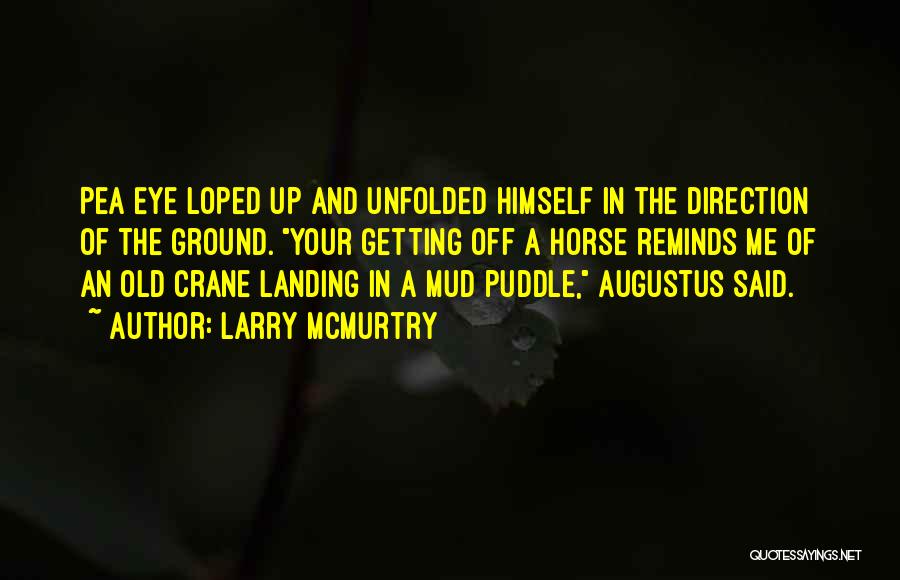 Mud Puddle Quotes By Larry McMurtry