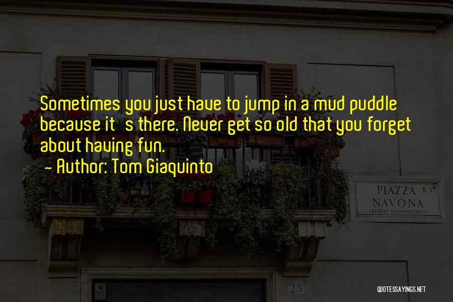 Mud Puddle Quotes By Tom Giaquinto