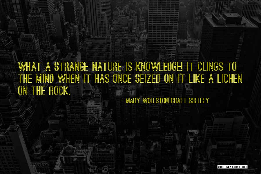 Mudarse Conjugation Quotes By Mary Wollstonecraft Shelley Mudarse Conjugation Quotes By Mary Wollstonecraft Shelley