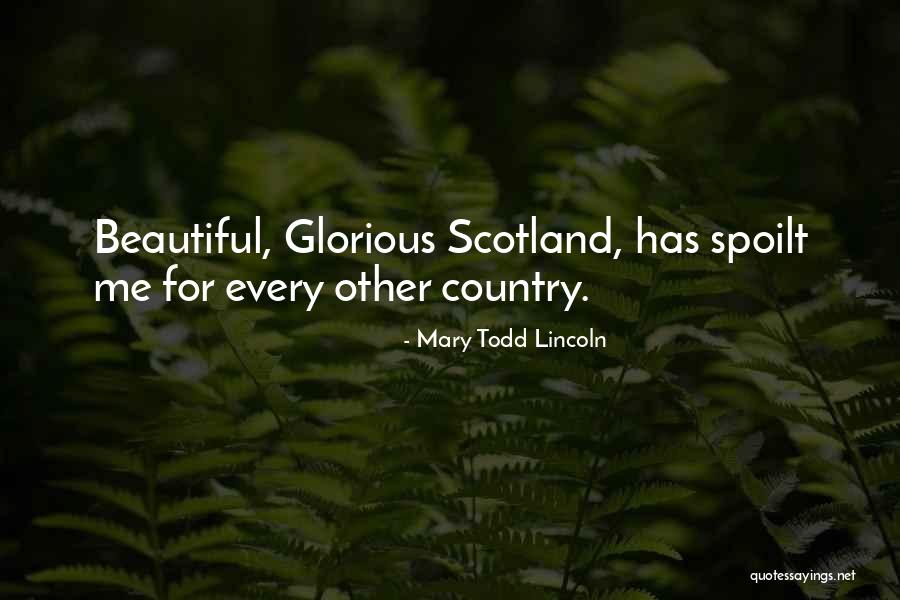 Mudbloods And Murmurs Quotes By Mary Todd Lincoln