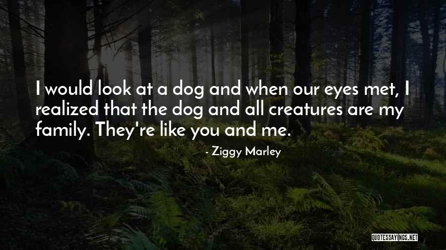Mudded Out Brown Quotes By Ziggy Marley Mudded Out Brown Quotes By Ziggy Marley
