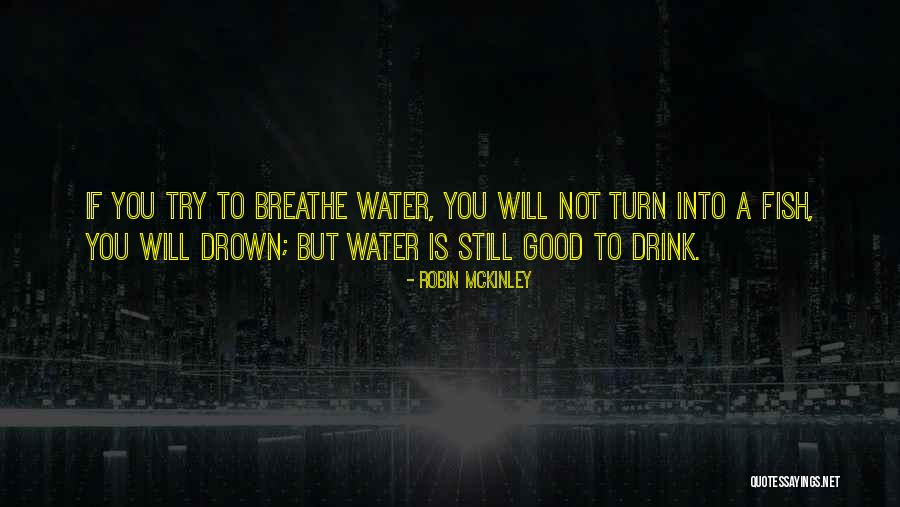 Muddies A Water Quotes By Robin McKinley Muddies A Water Quotes By Robin McKinley