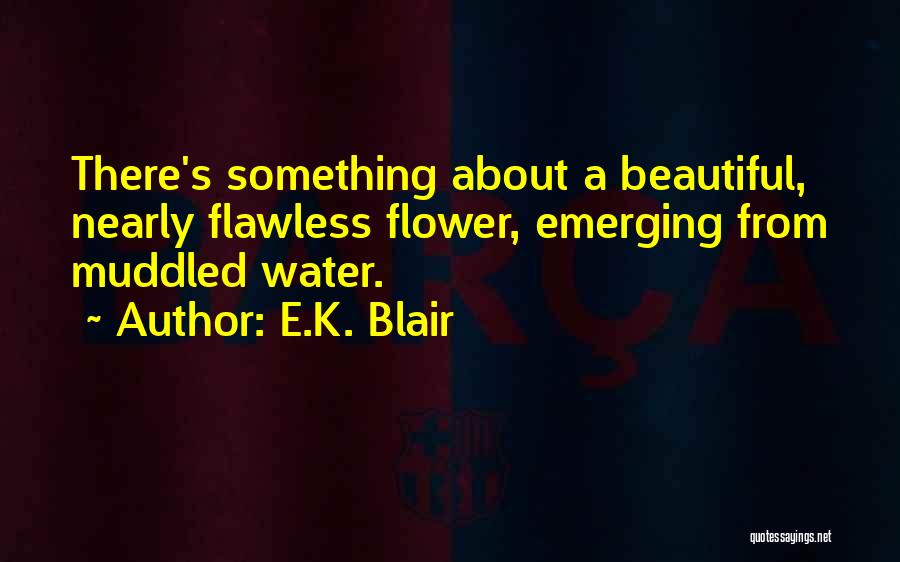 Muddled Quotes By E.K. Blair