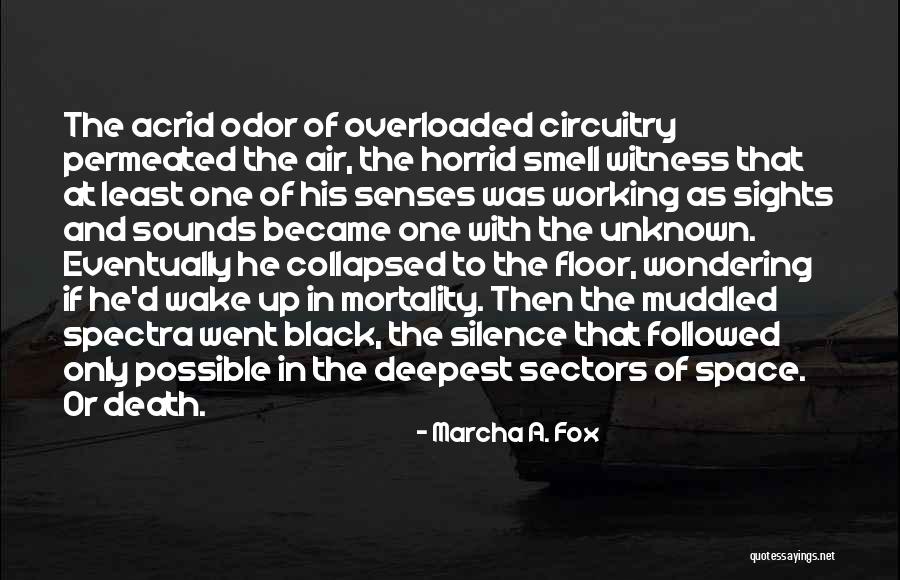 Muddled Up Quotes By Marcha A. Fox