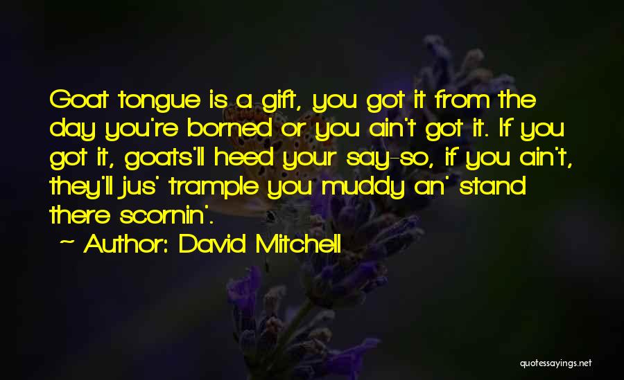 Muddy Day Quotes By David Mitchell