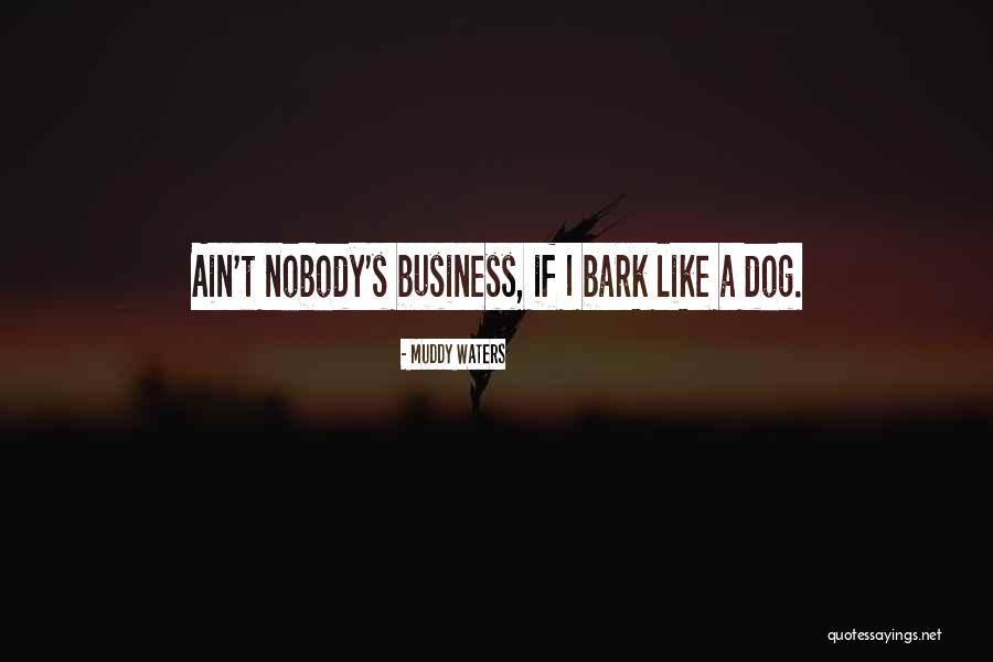 Muddy Dog Quotes By Muddy Waters