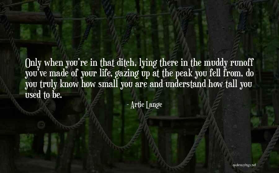 Muddy Life Quotes By Artie Lange Muddy Life Quotes By Artie Lange