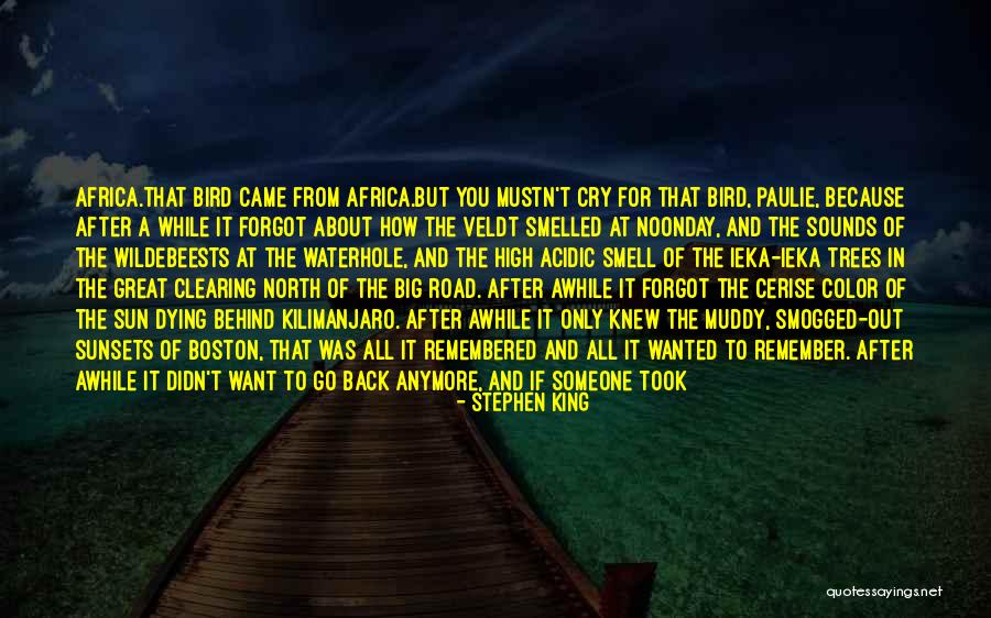 Muddy Road Quotes By Stephen King Muddy Road Quotes By Stephen King