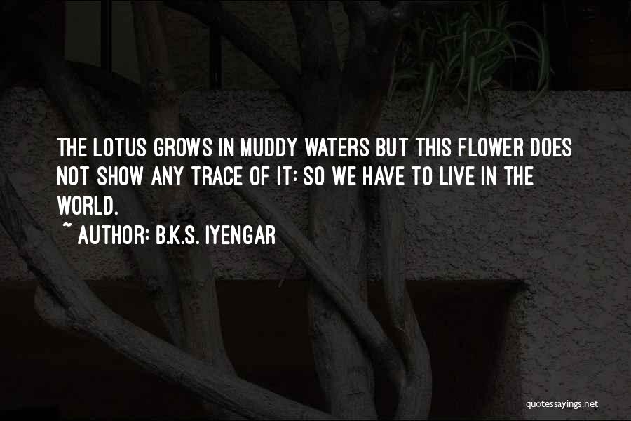 Muddy Water Quotes By B.K.S. Iyengar