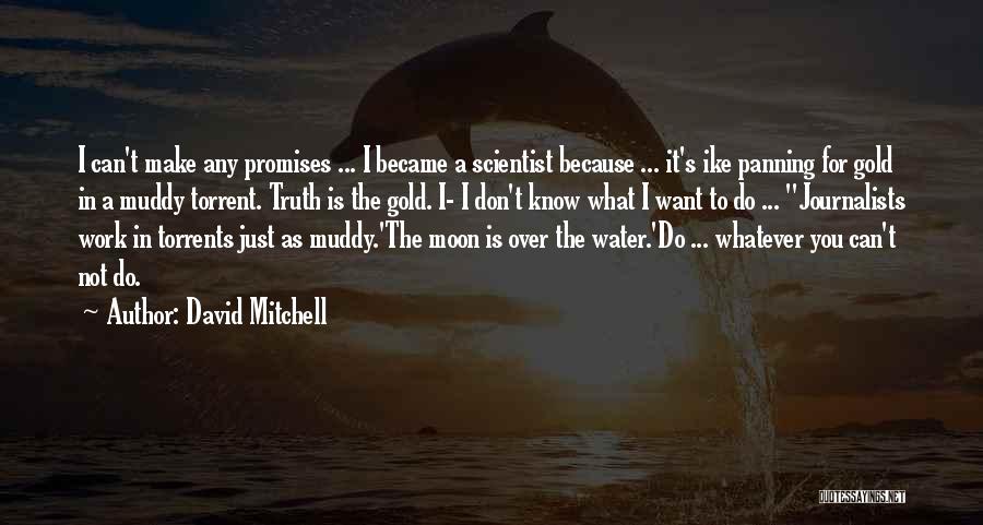 Muddy Water Quotes By David Mitchell