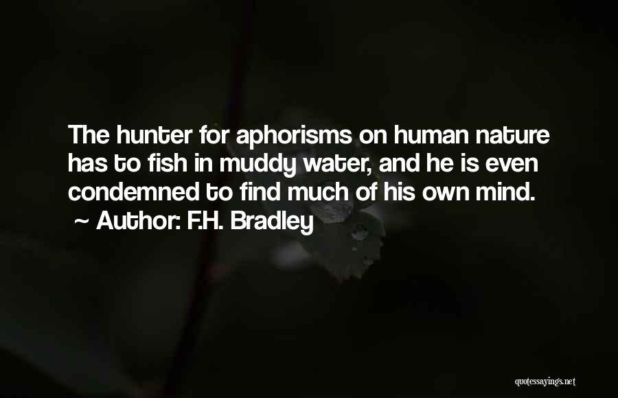 Muddy Water Quotes By F.H. Bradley