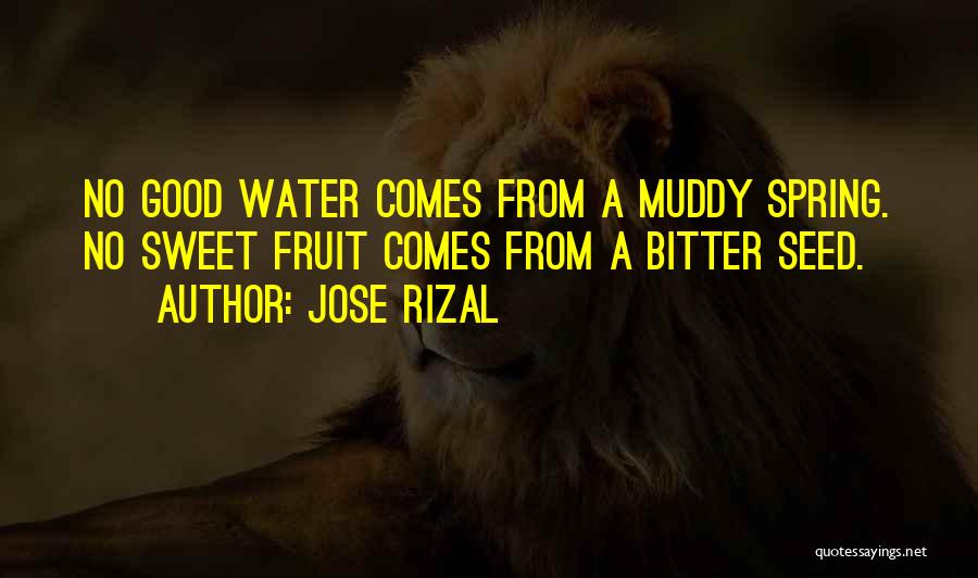 Muddy Water Quotes By Jose Rizal