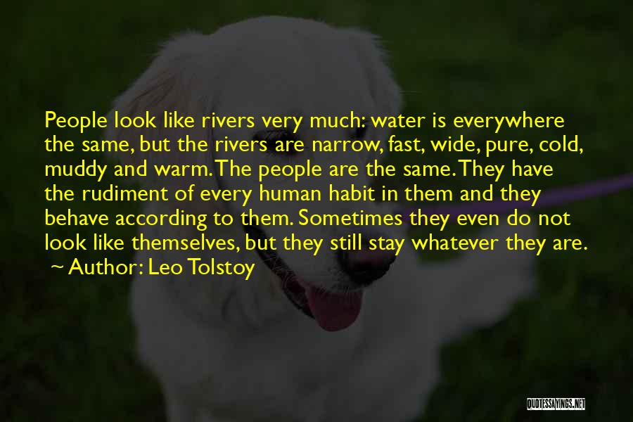 Muddy Water Quotes By Leo Tolstoy