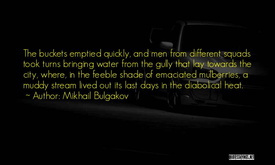 Muddy Water Quotes By Mikhail Bulgakov