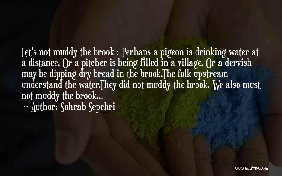 Muddy Water Quotes By Sohrab Sepehri