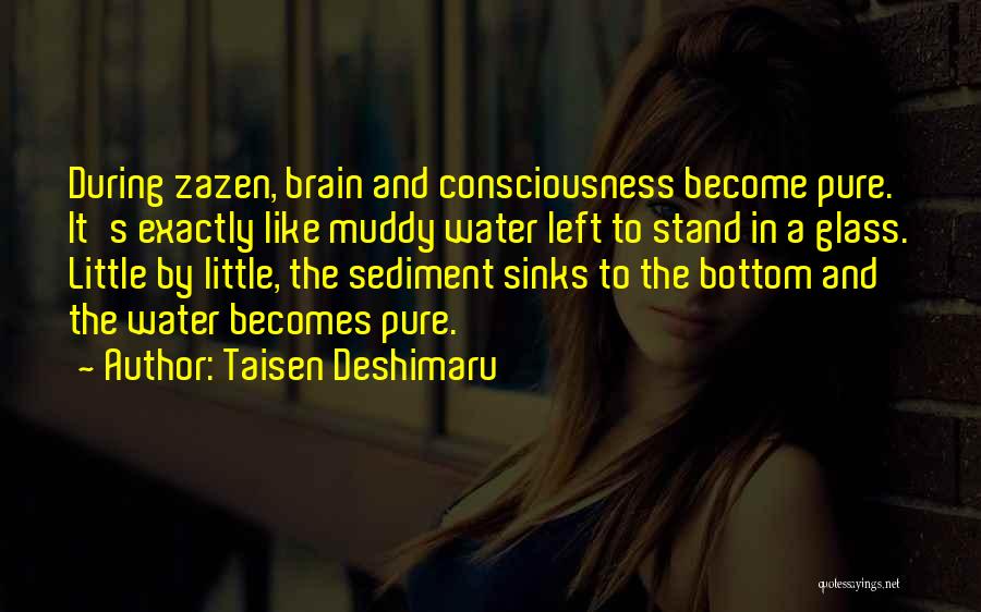 Muddy Water Quotes By Taisen Deshimaru