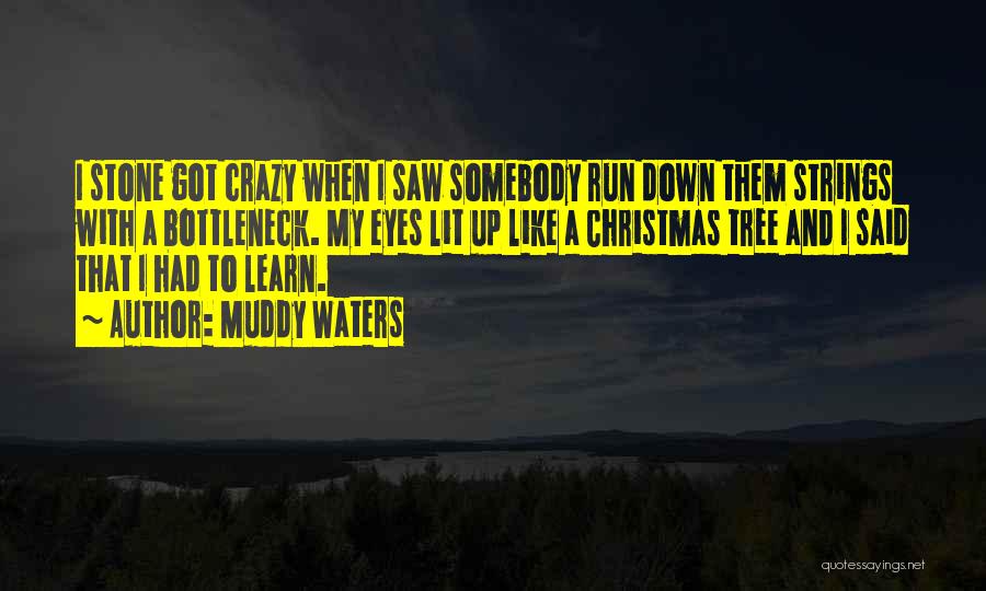 Muddy Waters Quotes 1474237