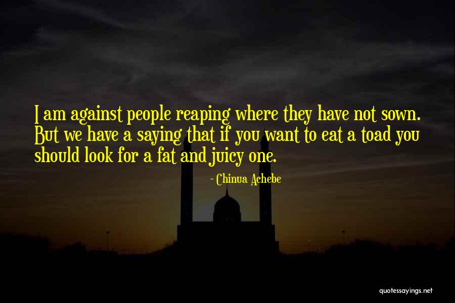 Mudpies As Food Quotes By Chinua Achebe Mudpies As Food Quotes By Chinua Achebe