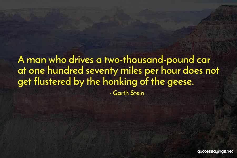 Mudsill Plate Quotes By Garth Stein Mudsill Plate Quotes By Garth Stein