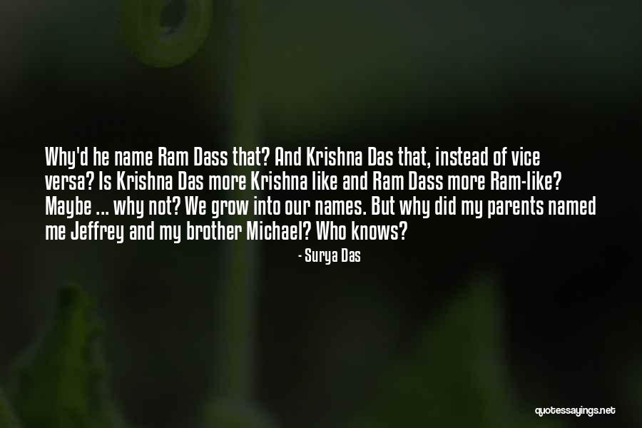 Mudslide Mix Quotes By Surya Das Mudslide Mix Quotes By Surya Das