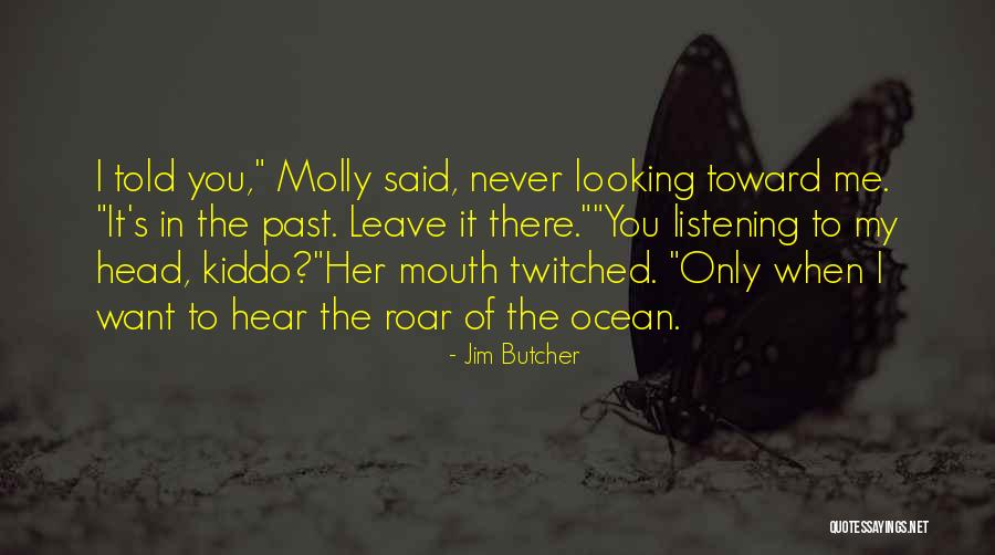 Muettergenesungswerk Quotes By Jim Butcher Muettergenesungswerk Quotes By Jim Butcher