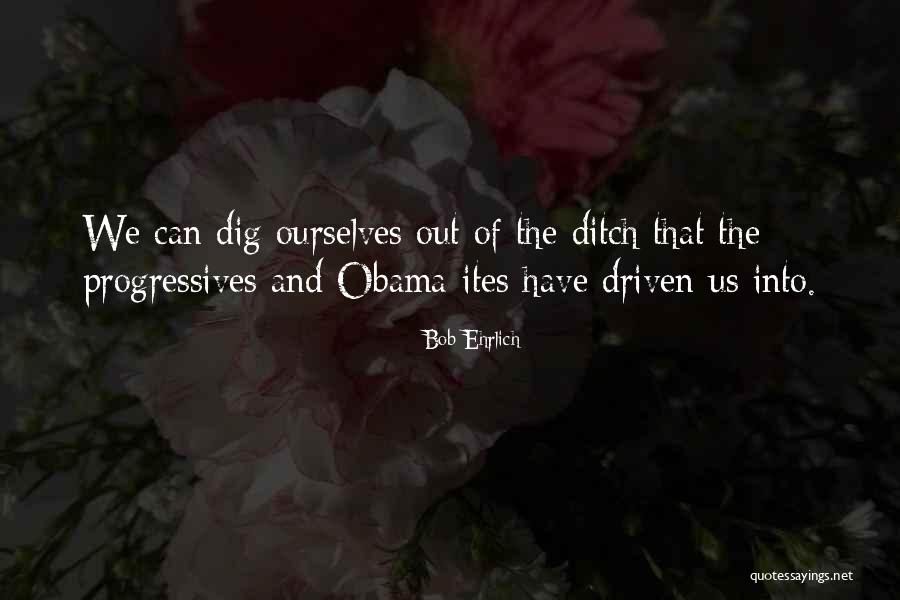 Mufutau Lanihun Quotes By Bob Ehrlich Mufutau Lanihun Quotes By Bob Ehrlich
