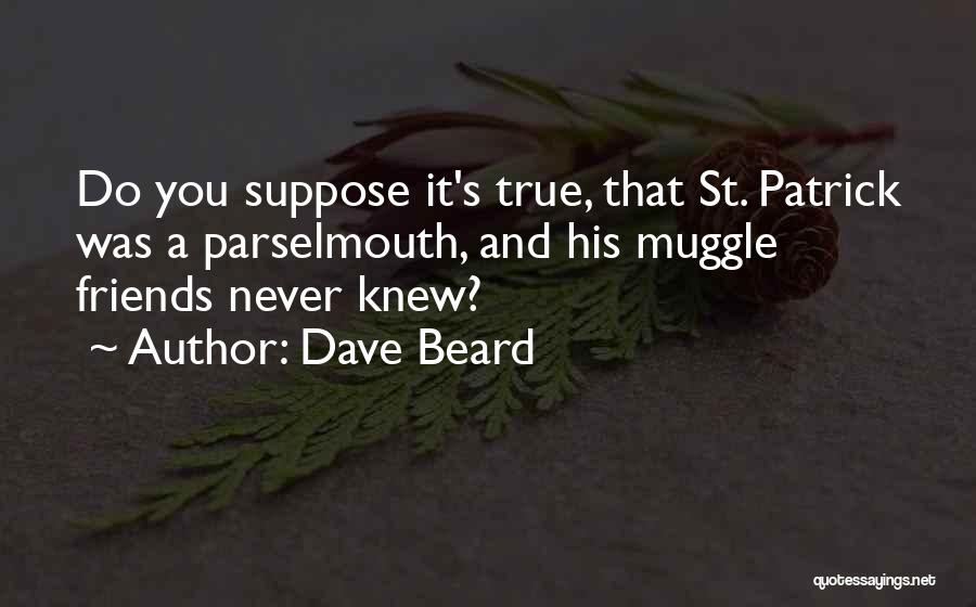Muggle Quotes By Dave Beard