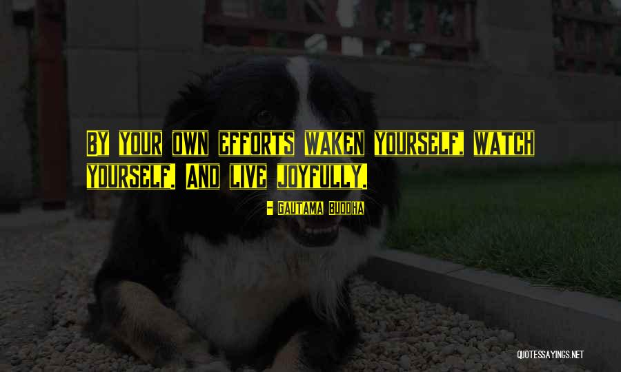 Mugisha Gilbert Quotes By Gautama Buddha Mugisha Gilbert Quotes By Gautama Buddha