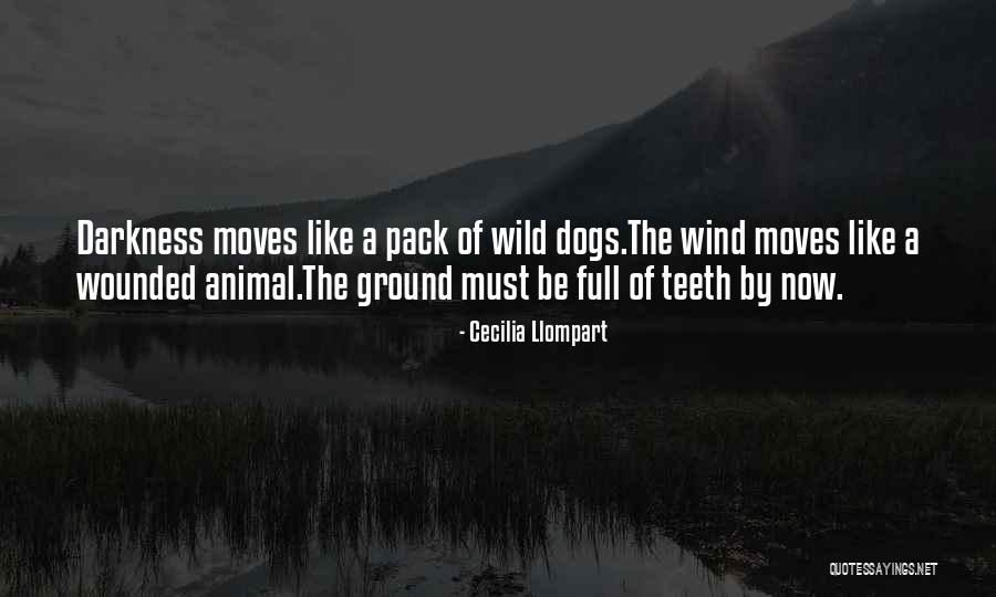Mugwump Quotes By Cecilia Llompart Mugwump Quotes By Cecilia Llompart