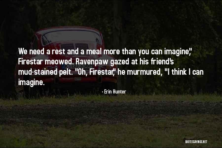 Muhafazakar Ne Quotes By Erin Hunter Muhafazakar Ne Quotes By Erin Hunter