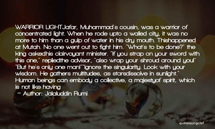 Muhammad A S Quotes By Jalaluddin Rumi