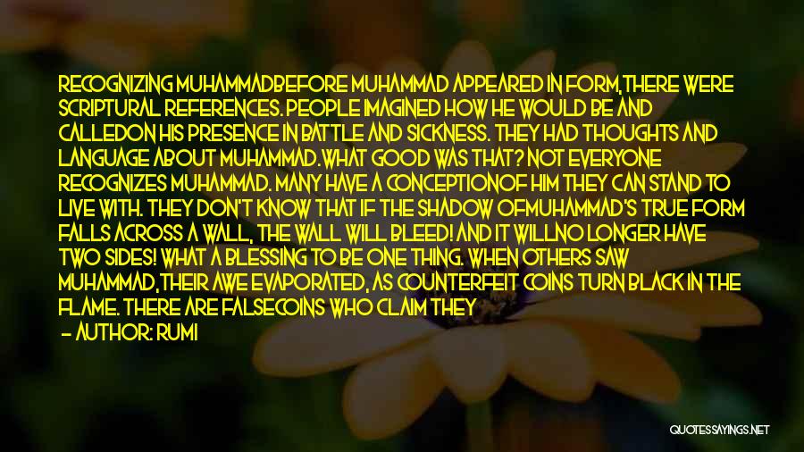 Muhammad A S Quotes By Rumi