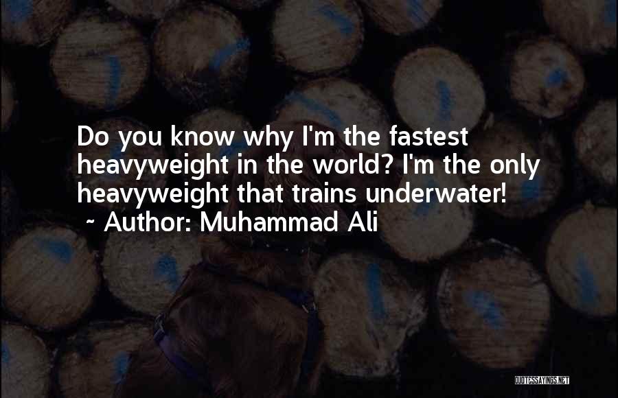 Muhammad Ali Quotes 1008166