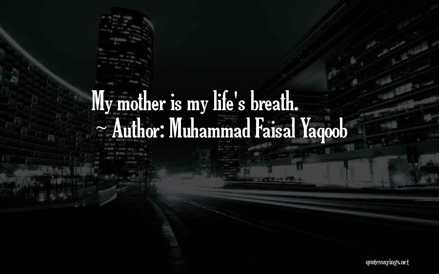 Muhammad Faisal Yaqoob Quotes 1336715