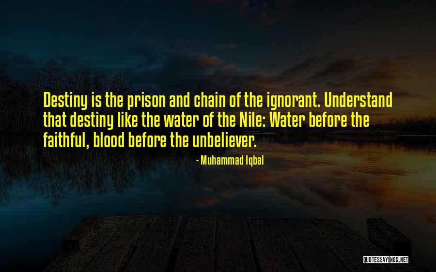 Muhammad Iqbal Quotes 1951717