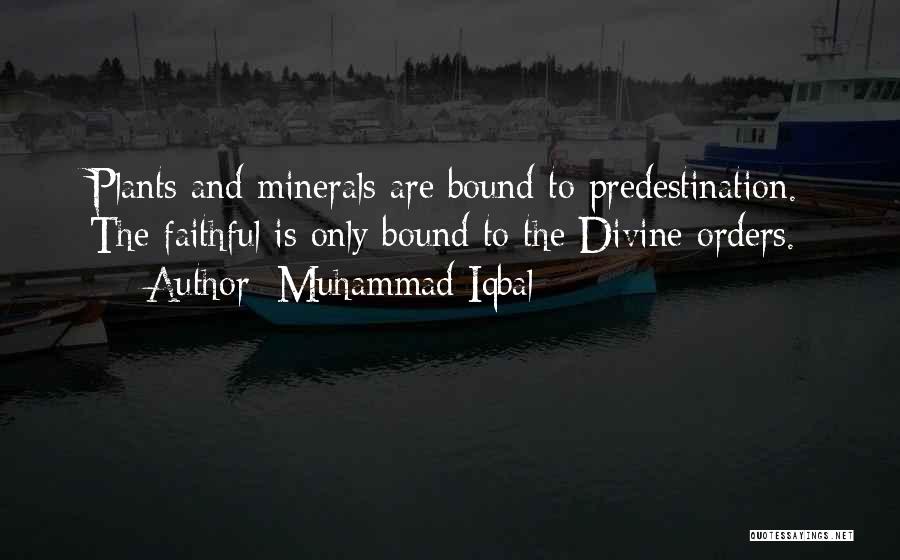 Muhammad Iqbal Quotes 2022416