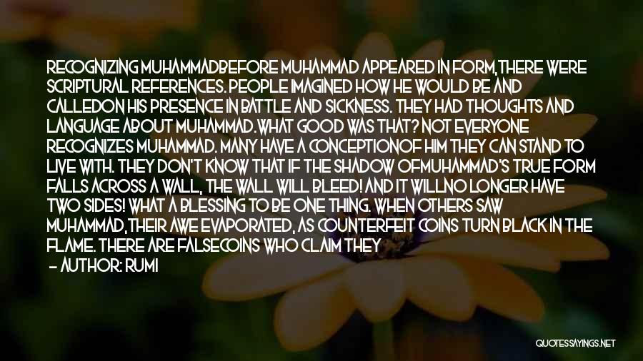 Muhammad S.a.w Quotes By Rumi