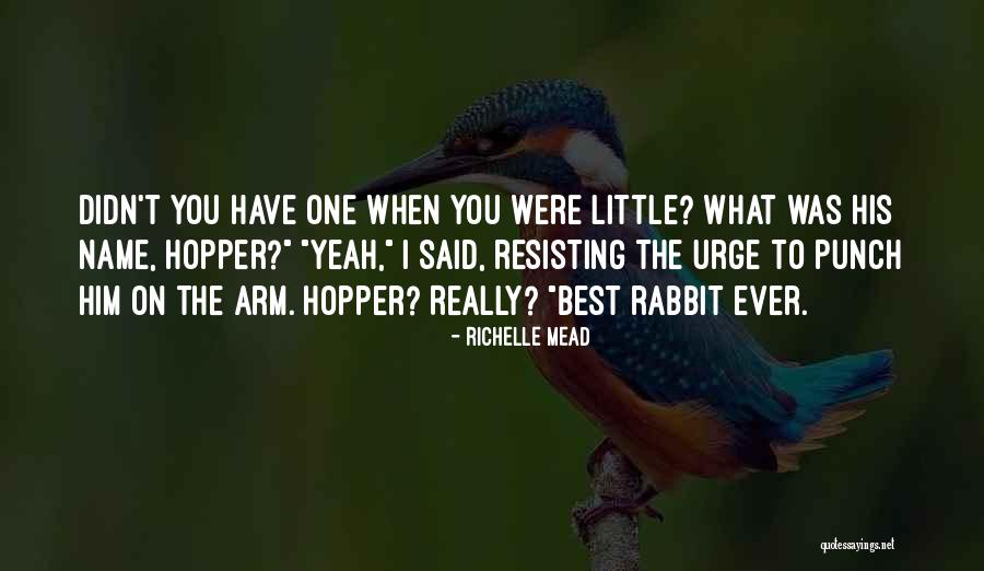 Muhammadan Light Quotes By Richelle Mead Muhammadan Light Quotes By Richelle Mead