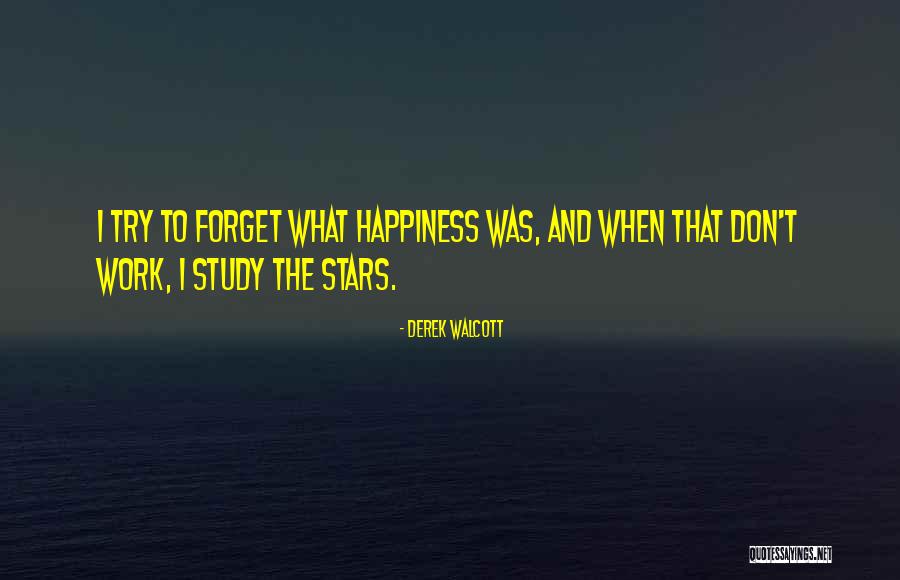 Muhanad Alawa Quotes By Derek Walcott Muhanad Alawa Quotes By Derek Walcott