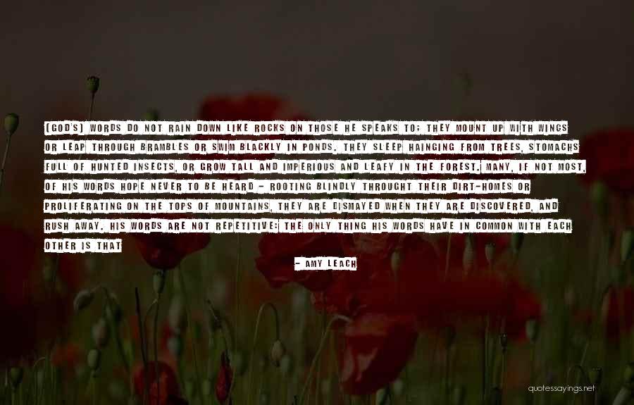 Muhitdin Ahunhodjaev Quotes By Amy Leach Muhitdin Ahunhodjaev Quotes By Amy Leach