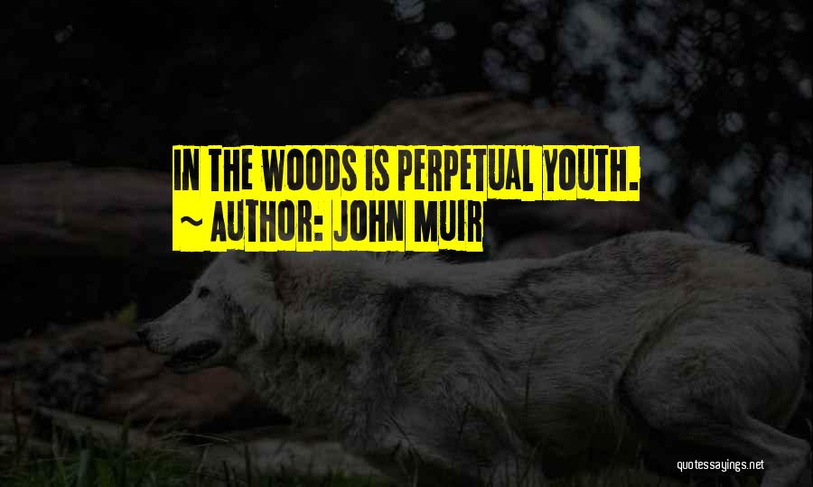 Muir Quotes By John Muir