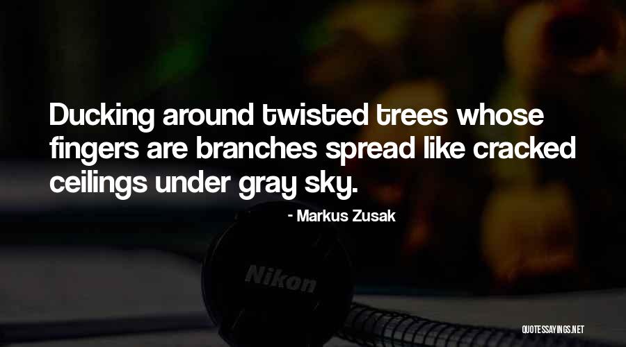 Muirina Quotes By Markus Zusak Muirina Quotes By Markus Zusak