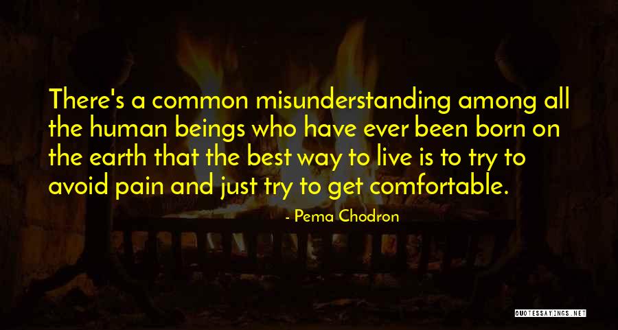 Muise Of Blands Quotes By Pema Chodron Muise Of Blands Quotes By Pema Chodron
