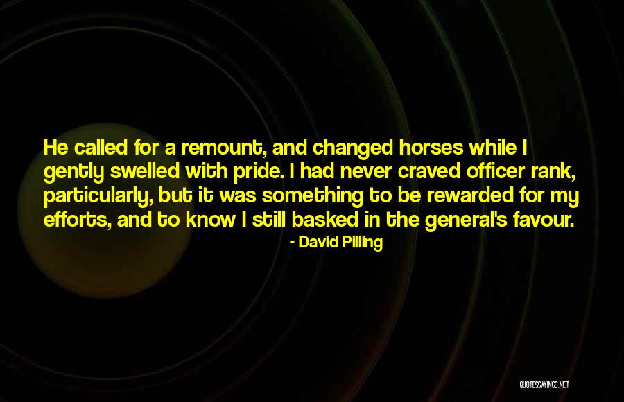 Mujeriego Quotes By David Pilling