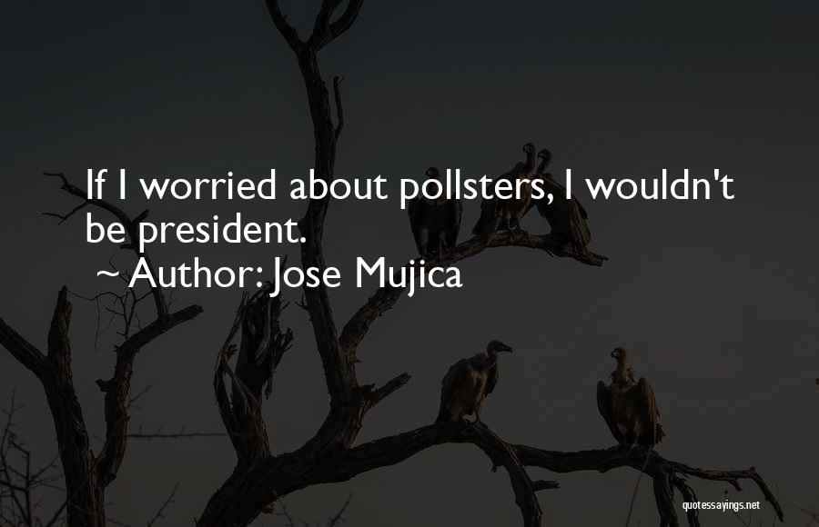 Mujica Quotes By Jose Mujica