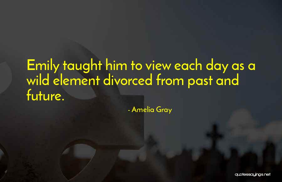 Mukana Quotes By Amelia Gray Mukana Quotes By Amelia Gray